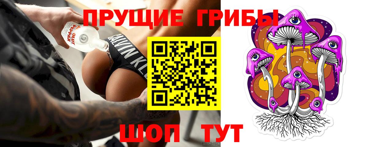 Усть-Джегута  Псилоцибиновые грибы Psilocybine cubensis  Вход с VPN 